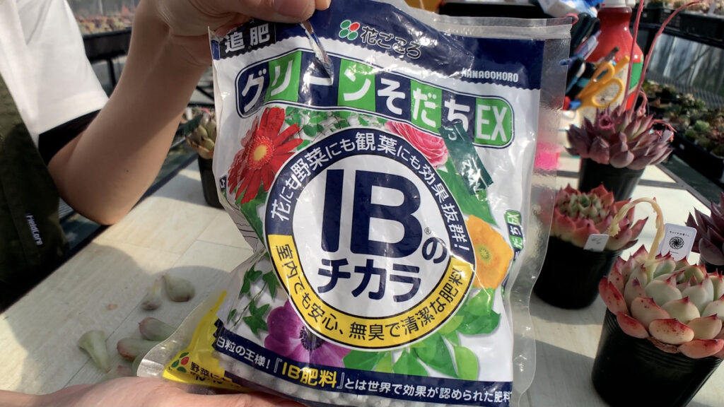 IB化成