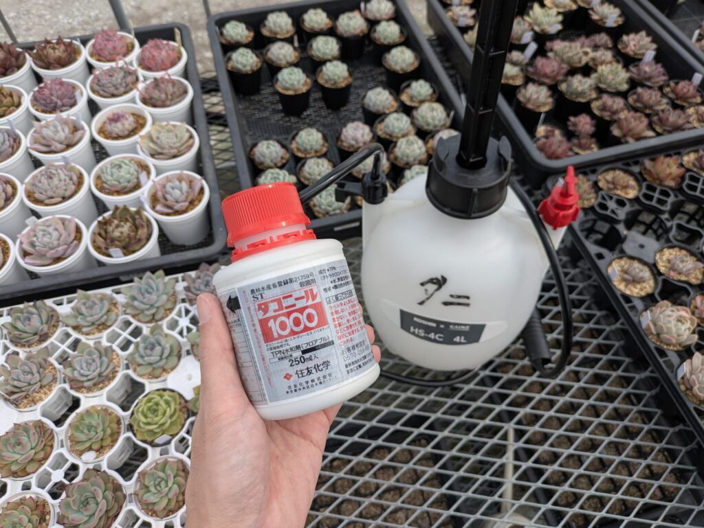 殺菌剤のダコニール